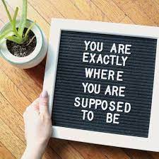 You Re Exactly Where You Re Supposed To Be Letterboard Google Search Letter Board Felt Letter Board Message Board Quotes