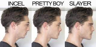 Nathaniel veltman, 20, was arrested shortly after the june 6 attack in a parking lot in london, ontario, a short distance from the city's oldest. Are Incel Forums The New Pro Anorexia Groups Dazed Beauty