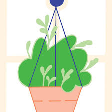 Find the best plant seeds & bulbs at the lowest price from top brands like burpee, american seed & more. Music For Plants Bandcamp Daily