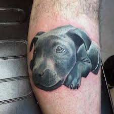 A dog tattoo paired with sun. 65 Mind Blowing Dog Tattoos And Their Meaning Authoritytattoo
