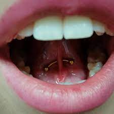 Tongue Web Piercing 47 Ideas Pain Level Healing Time Cost Experience Piercee