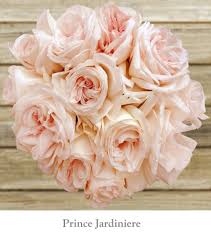 Limited time sale easy return. The Prince Jardiniere Blush Garden Rose With Ruffled Petals And Tons Of Layer And With Delicious Frag Garden Rose Bouquet Bulk Flowers Online Rose Centerpieces