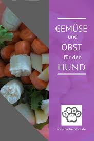 barfen ohne gemuse und obst geht das barf einfach hunde ernahrung hundegesundheit hundeernahrung