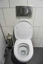 One of the most common noises heard from the toilet is a moaning, almost like the toilet is gasping for air. Why Does The Toilet Whistle After Flushing The Irish Plumber
