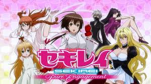 Sekirei Y Sekirei Pure Engagement Pure Products Anime Animation