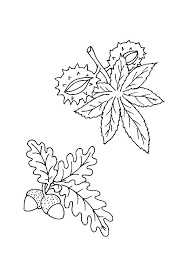 Pin On Efterars Skoven