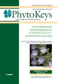 Image result for Convolvulus ocellatus