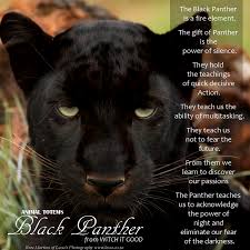 Suits well on all skin tones. Animal Totems Spirit Animal Totem Panther
