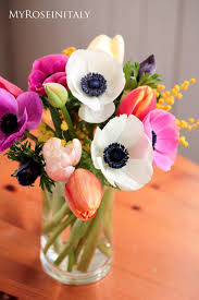 15 936 tykkäystä · 369 puhuu tästä. Foto Di Fiori Bellissimi