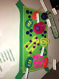 It is in the middle of the cell, which is why it is also called the central vacuole. 5th Grade 3d Plant Cell Model Plant Cell Model 3d Plant Cell Plant Cell Project