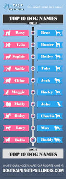And captain america's love interest). Top 10 Female And Male Dog Names Of 2014 Infographic Dog Names Puppies Names Female Dog Names Male