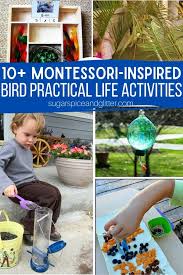 Paper snake craft using empty toilet paper rolls. 50 Ideas For A Preschool Bird Unit Study Sugar Spice And Glitter