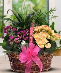Begonia And Kaloanchoe Garden Church Flower Arrangements Flower Arrangements Flower Delivery