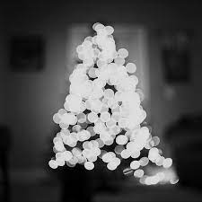 'bokeh' reviewed online, san francisco, march 17, 2017. Film Christmas Tree Bokeh Photography By Taraj 00 Clickin Moms Blog Helping You Take Better Pictures One Day At A Time
