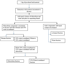 Image result for Grewia mollis