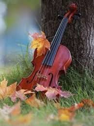 Download Free Nature Violin Mobile Wallpaper Contributed By Hilarystoll Nature Violin Mobile Wallpaper Is Uploaded In N Violin Image Violin Violin Photography