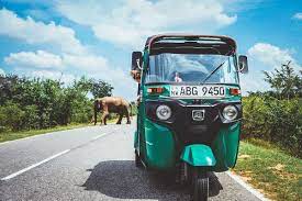 They are the means of transport nummero one in the country. A Sri Lankan Adventure Tuktuk Rental