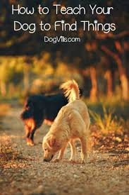 These Nose Games Are A Great Way To Enrich Your Dog S Life Your Bond With Them If You Want To Know How To Teach Your Dog To Find Dog