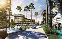 Image result for COLONIA SILICONE