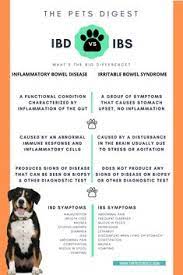 37 Ibd In Dogs Ideas In 2021 Diarrhea In Dogs Ibd Dogs