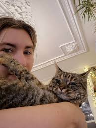 Cat experiencing temporary flatulence during food transition