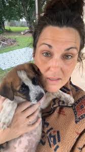 Hi everyone! This group was recommended to me by multiple people for  finding a home for 5 adorable, loving, playful puppies. Aren’t they so  cute?!? We’re located in Amory., Backstory: their Mama ...