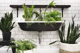 This made the lack of windows feel almost intentional. Small Bathroom Plants No Light Novocom Top