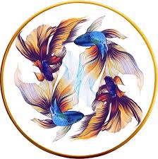 Toygar Adel Golden Fish 6'lı 21 cm Pasta Tabak Seti Fiyatları, Özellikleri  ve Yorumları