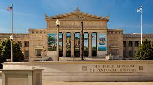 A museum is an institution that cares for (conserves) a collection of artifacts and other objects of artistic, cultural, historical, or scientific importance. 14 Best Museums In Chicago Conde Nast Traveler