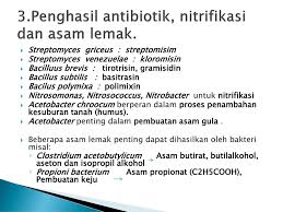 Bab Iii Dunia Monera Ppt Download
