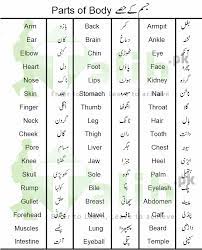 But, once i displaced my little finger plaing volleyball with my class mates and my pe professor, who is the one who broke my finger, smashing the ball in front of me. Parts Of Body Names In Urdu And English With Pictures