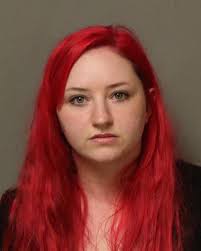 Bland County woman charged with child endangerment