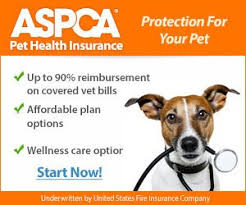 Aspca pet health insurance® is committed to making veterinary care more affordable for pet parents. Insurance Management Corporation Pet Insurance