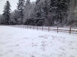 Not all post are treated equally. 3 Rail Round Penta Post Fencing Ranch Fencing Outdoor Fence