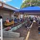 Hamilton Miniature Railway | Runs event image