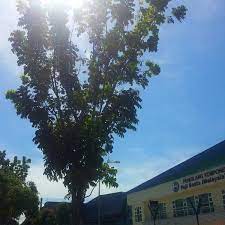 We are pleased to introduce ourselves as one of the largest manufacturers of soaps and soaps noodles from vegetable oils based in malaysia. Fuji Seat Malaysia Sdn Bhd Factory