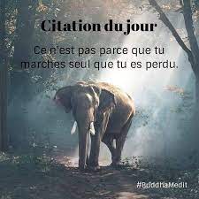 Researchgate has not been able to resolve any citations for this publication. Les Apparences Sont Parfois Trompeuses Ne Vous Souciez Pas Des Commentaires Des Autres Co Positive Quotes For Life Rumi Inspirational Quotes Positive Quotes