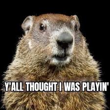 30 Funny Texas Freeze Memes To Lmao At If It Hasn T Frozen Off First 38 groundhog day jokes ranked in order of popularity and relevancy. 30 funny texas freeze memes to lmao at