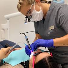 DENTAL SALON - Updated January 2026 - 80 Photos & 887 Reviews - 939 W North  Ave, Chicago, Illinois - Cosmetic Dentists - Phone Number - Yelp