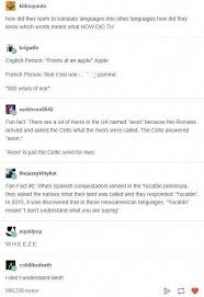 I Don T Understand What You Re Saying Fun Facts Tumblr Funny Make Me Laugh