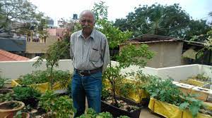They use a passive hydroponic system that ensures your plants get enough. 5 Secrets To Creating The Most Amazing Terrace Garden From The Father Of Terrace Gardening Himself The Better India