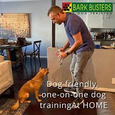 Dog Friendly One On One Dog Training At Home Barkbustersla To The Rescue Puppytrainingla Puppytrainersla House Training Dogs Dog Friends Labrador Training