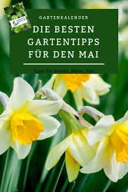 Diese Pflanzen Musst Ihr Jetzt Im Mai Im Garten Besonders Pflegen Gartenkalender Garten Gartentipps