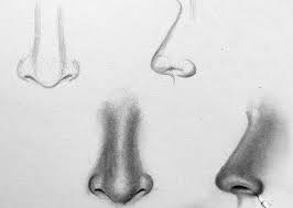 The basics of drawing noses. How To Draw Realistic Nose Step By Step Vk Artbox