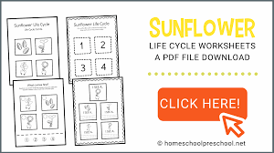 Free printable parts of a plant flipbook. Free Printable Life Cycle Of A Sunflower Worksheets