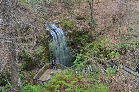 Maybe you would like to learn more about one of these? Falling Waters State Park Sinkhole Trail Falling Water Falls Wiregrass Trail And Terrace Trail Chipley Florida Hiking The Appalachians And Beyond