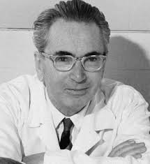 Viktor Frankl's Man's Search for Meaning: Finding Purpose in Suffering