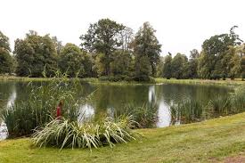 Born the honourable diana frances spencer, she was the fourth child, third girl, of edward john spencer and frances ruth burke roche, then viscount and viscountess althorp. Princess Diana S Final Resting Place Revealed In New Pictures 21 Years After Her Burial Mirror Online