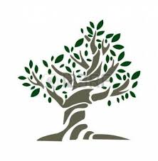 Olive Tree Vector Leaves 70 Super Ideas Olive Tree Palm Tree Pattern Design Tree Stencil