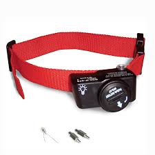 See full list on petsafe.net Petsafe Add A Dog Extra Receiver Collar For Wireless Containment Systems